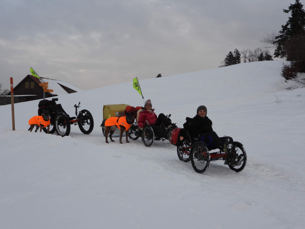 TrikeBike GmbH 8h  GruppenTour mit anhänger und eigenem Hund